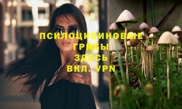 гидропоника Зеленокумск