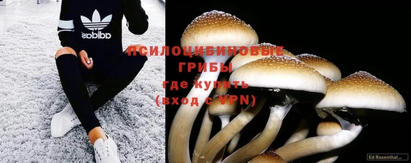 мескалин Зерноград