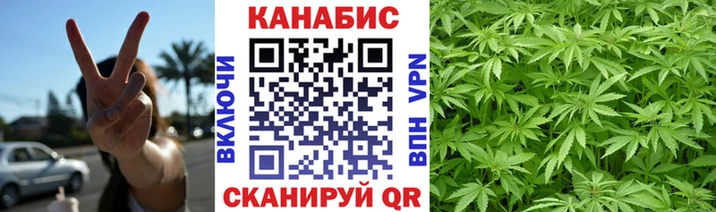 Купить где  Глазов  МАРИХУАНА ГИДРОПОН 